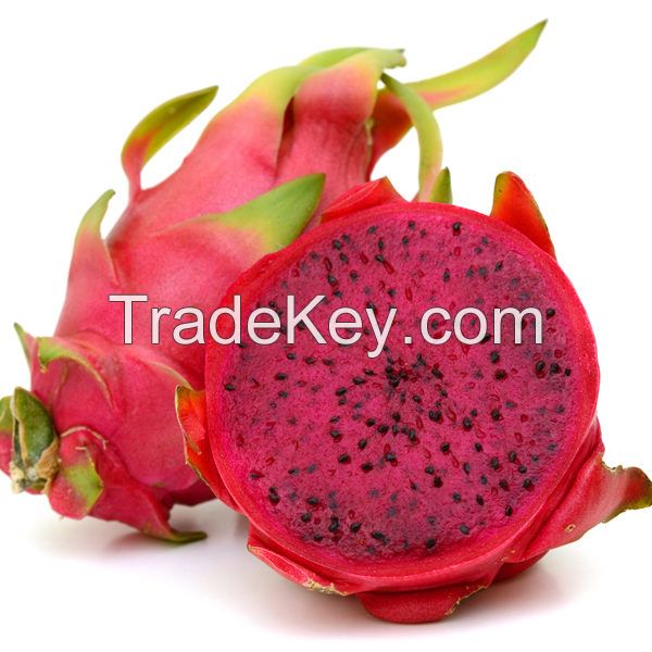 Fresh Dragon fruit - 2021 Premium Quality Fresh fruit 100% Natural Sweet made in South Africa  newest crop