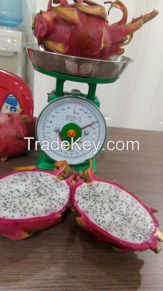 Fresh Dragon Fruit from high Quality and competitive price for export 2021