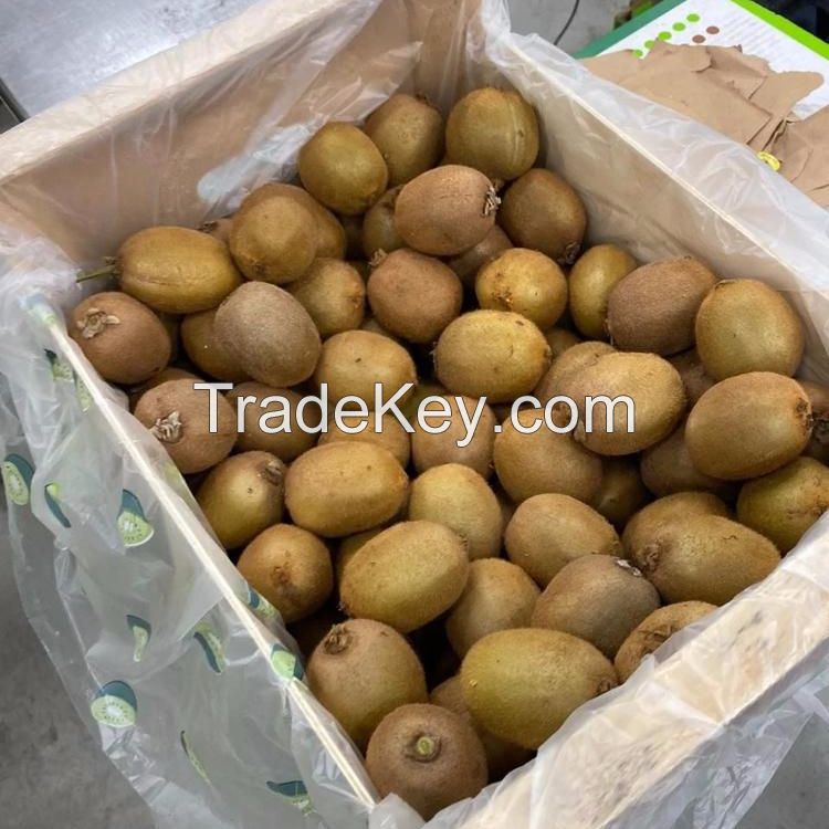 High quality export kiwi fresh hayward variety export frozen fruit bulk organic fruit green greek kiwi fruit