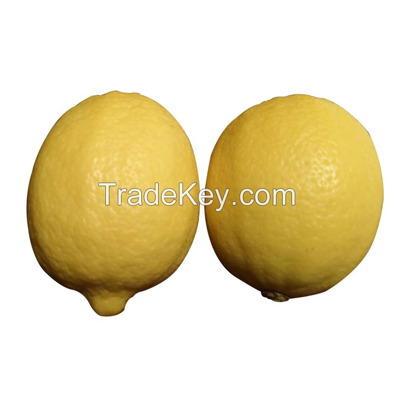 Wholesale Best Price fresh fruits Fresh Citrus Fruit Lemon