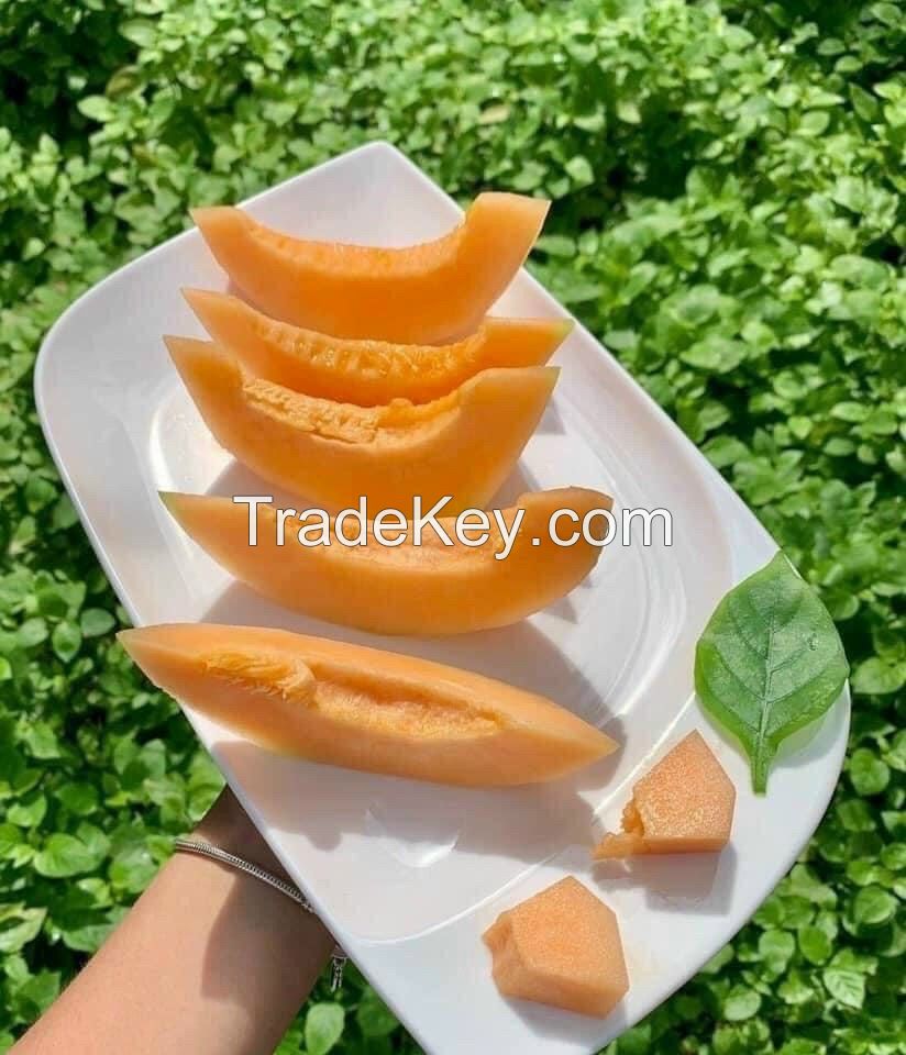 FRESH SWEET CANTALOUPE - Melon Sweet Organic Natural Fresh Fruits Organic 100% Maturity from South Africa 