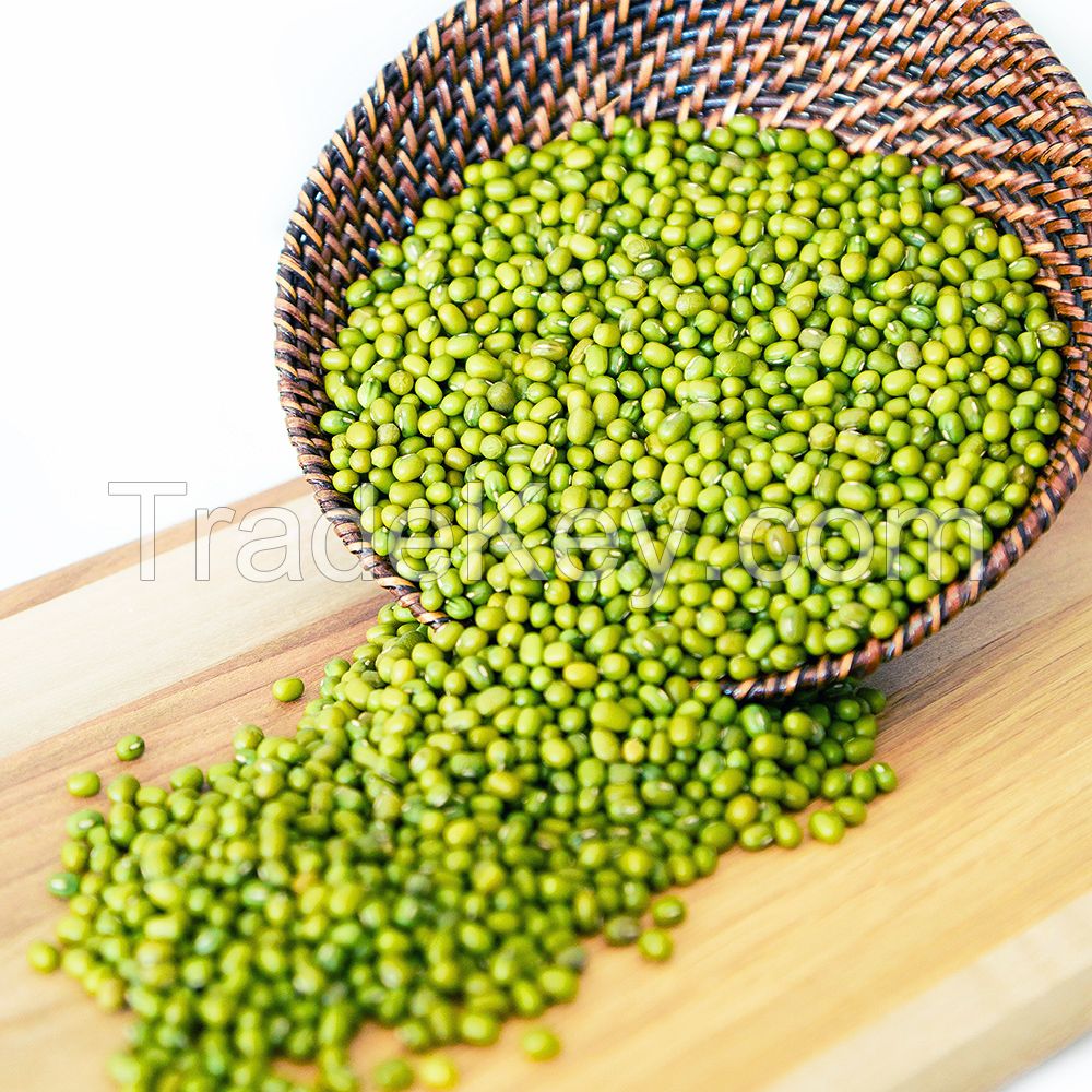 Wholesale Premium Agriculture Organic Dried Mung Bean Sprouts Mung Green Beans