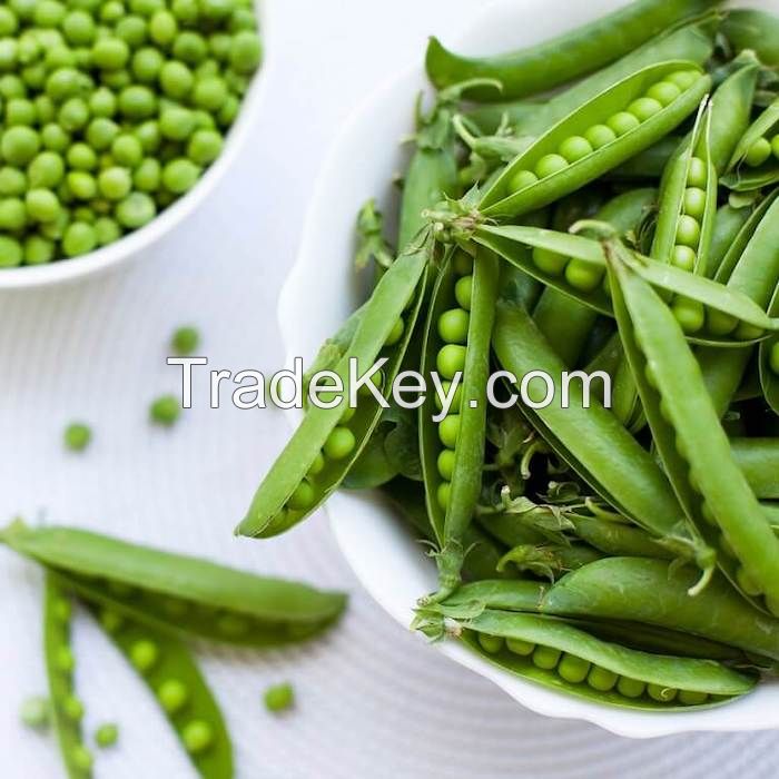 25Kg Thomas Laxton Green Pigeon Peas/Quality Pigeon Pea Toor