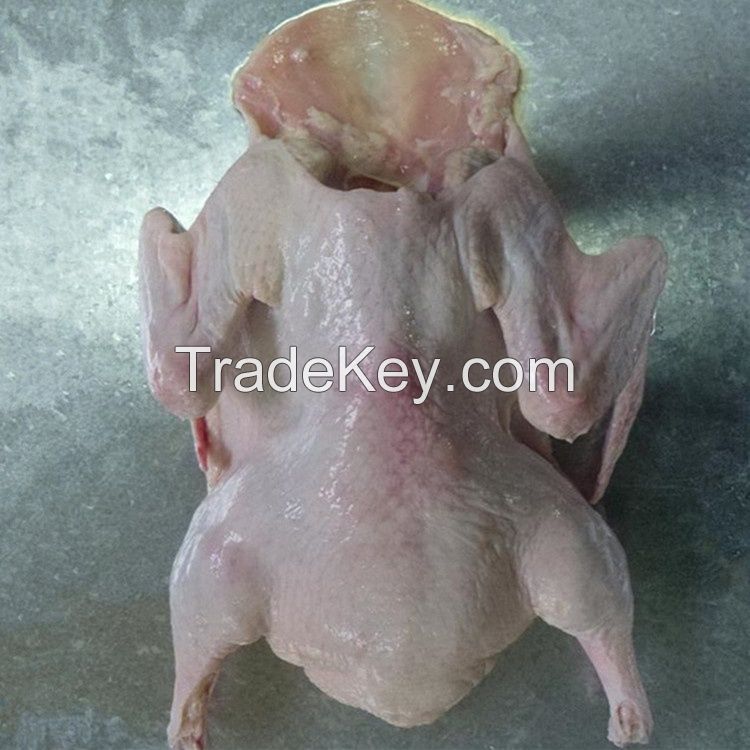 FROZEN WHOLE DUCK WITHOUT HEAD&NECK POULTRY MEAT