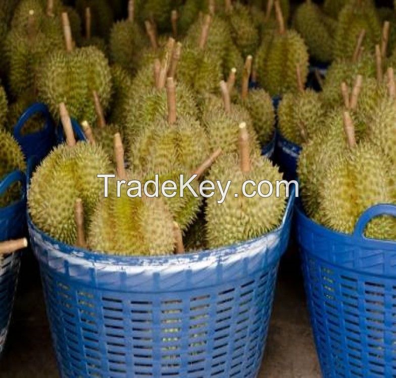 Quality Fresh /Frozen Durian for sale