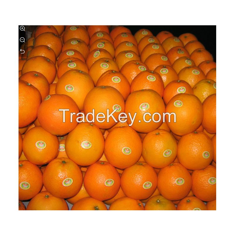 Best Selling Wholesale 100% Natural Sweet Taste Fresh Citrus Fruit