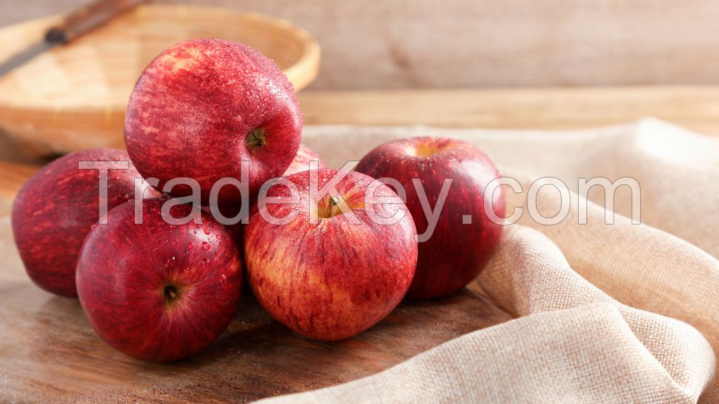 Fresh Apple Fruit Price