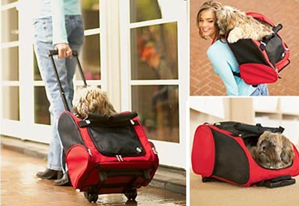 Pet Carrier