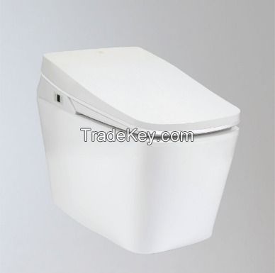 Integrated Toilet - Tankless Electronic Bidet