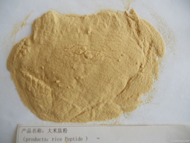 rice protein  peptide