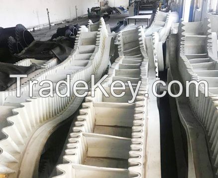 EP100 Sidewall Conveyor Belt factory price