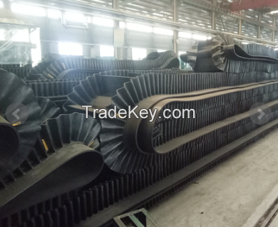 EP100 Sidewall Conveyor Belt factory price