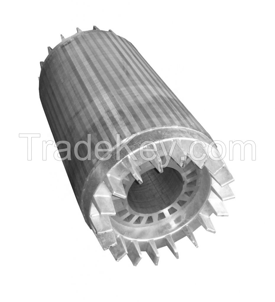 Motor generator parts stator rotor core stamping stacks