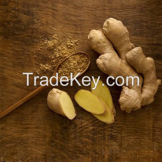 Fresh and Dry Ginger 