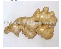 fresh/dried ginger