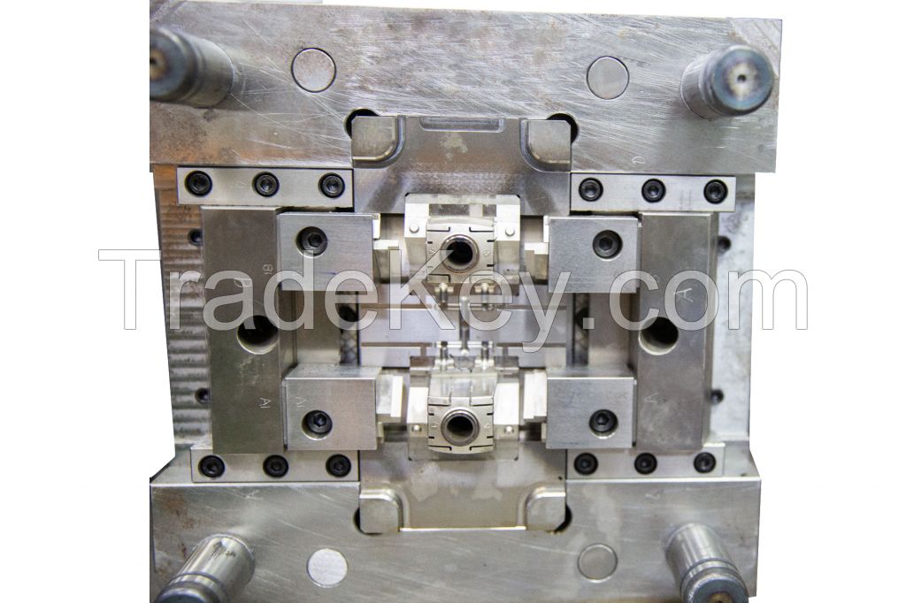 INJECTION PRECISION MOLD CHINA PROFESSIONAL MANUFACTURER						