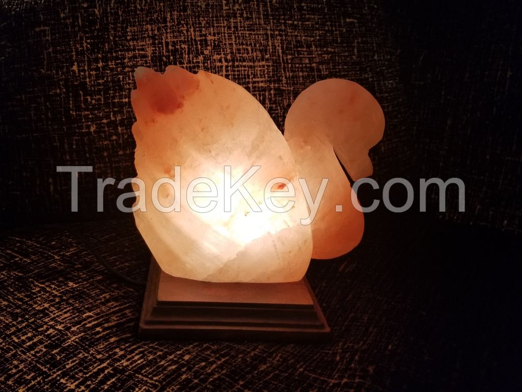 Himalayan pink salt lamps