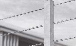 Straight Razor Barbed Wire