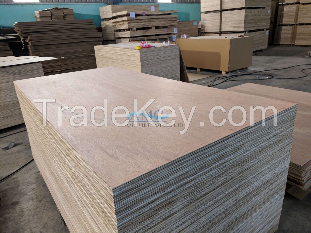 CONSTRUCTION PLYWOOD