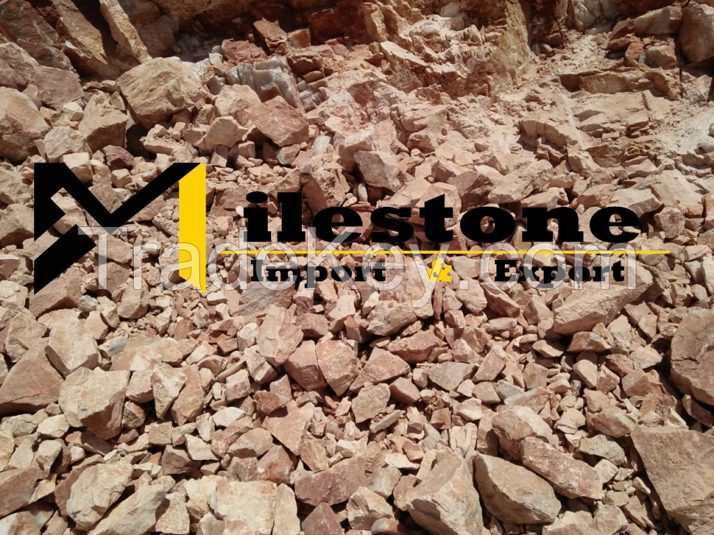 Forex trading company in egypt