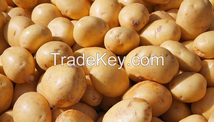 potatoes