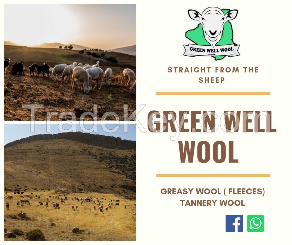 Algeria Greasy wool