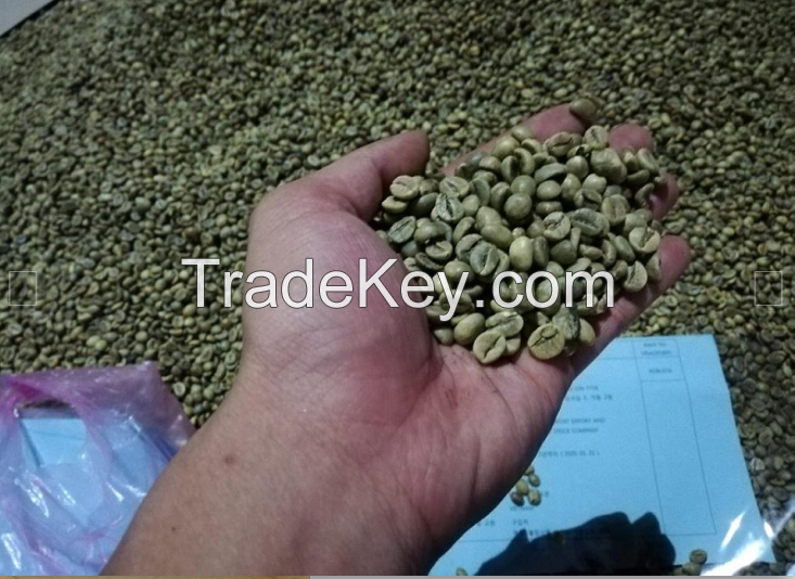 Wet-polished Robusta Coffee Beans S18