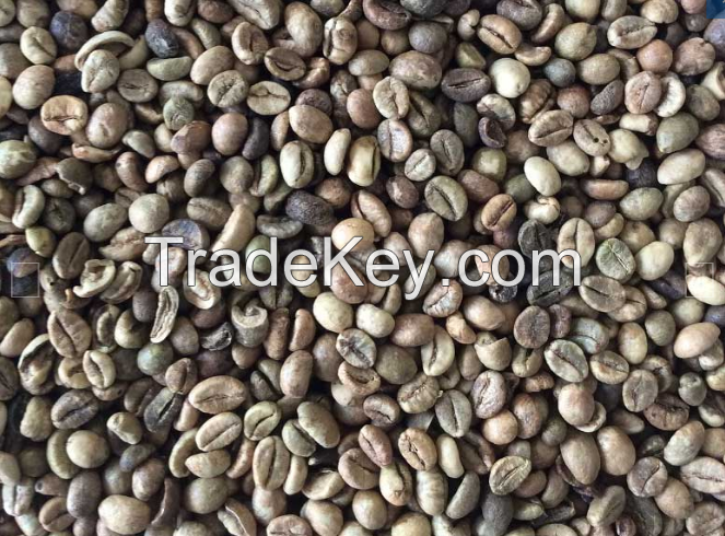 Unwashed Robusta Coffee Beans S13