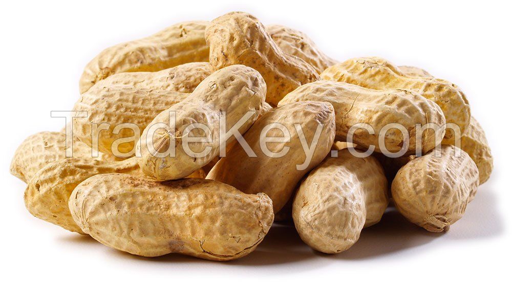 PEANUTS