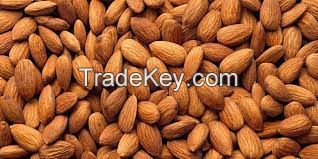 Grade A Almond Nuts / Raw Natural Almond Nuts