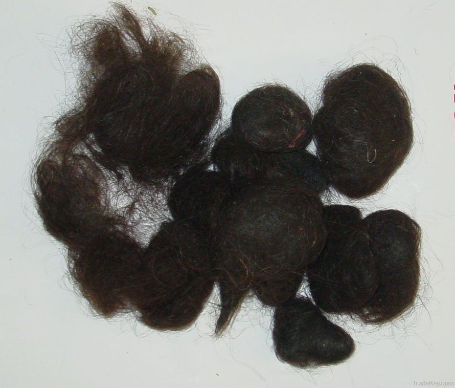 scattered group of human hair