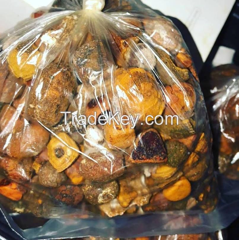 Top Quality Cow Ox Gallstones / Cattle gallstones