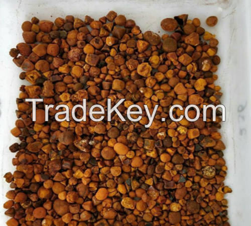 Buy Quality Cow Ox Gallstones / Cattle gallstones