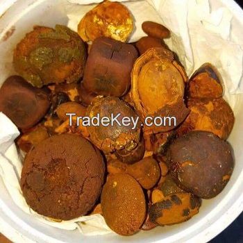 Quality Cow Ox Gallstones / Cattle gallstones