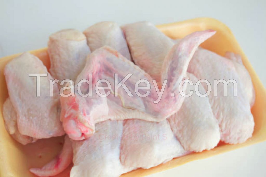 Bulk Suppliers Hala Grade A+ Frozen Chicken Feets|Wings