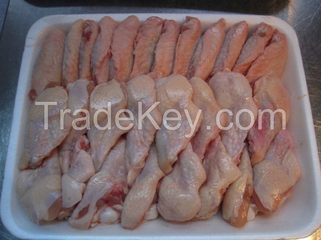 Bulk Suppliers Hala Grade A+ Frozen Chicken Feets|Wings