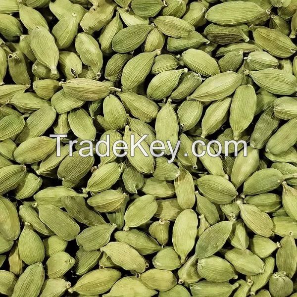 High quality Dried green Cardamom bulk supplier