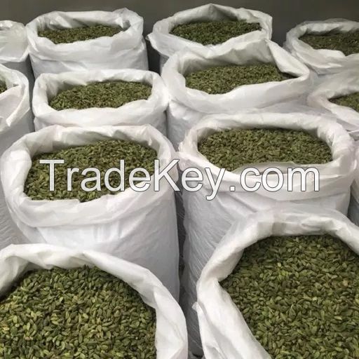 High quality Dried green Cardamom bulk supplier