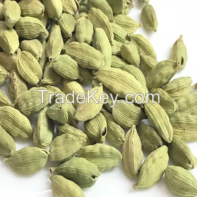 Top quality Dried green Cardamom bulk supplier