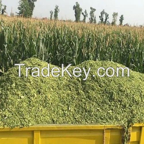 High quality silage bags corn animal feed yellow agriculture storage corn silage bag for cattle