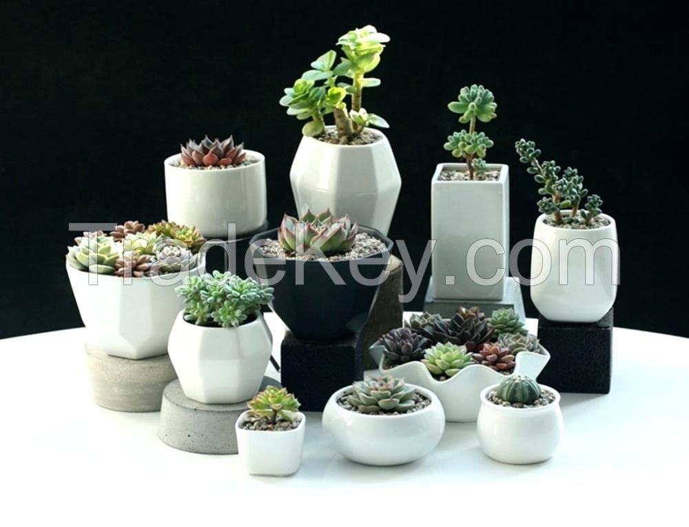 Ceramic Flower Pots Wholesale Pottery- Small Planter - Small Plant Pot - Planters Home - Indoor Pots