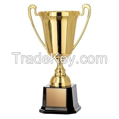 Metal Award Trophy