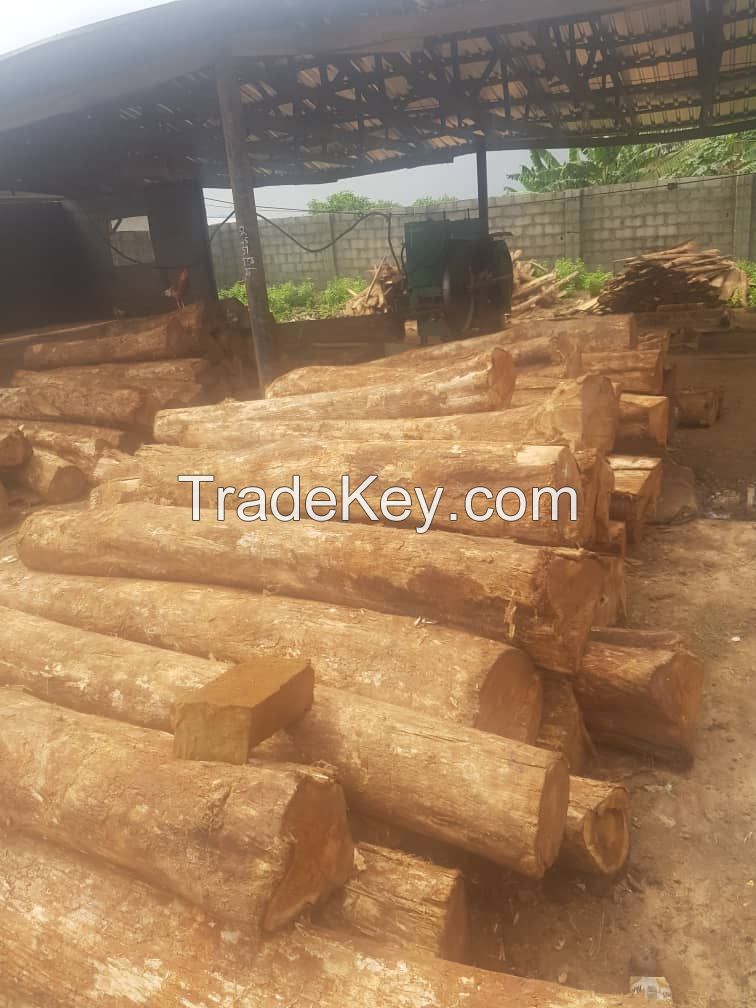 quality Teak Wood and Logs