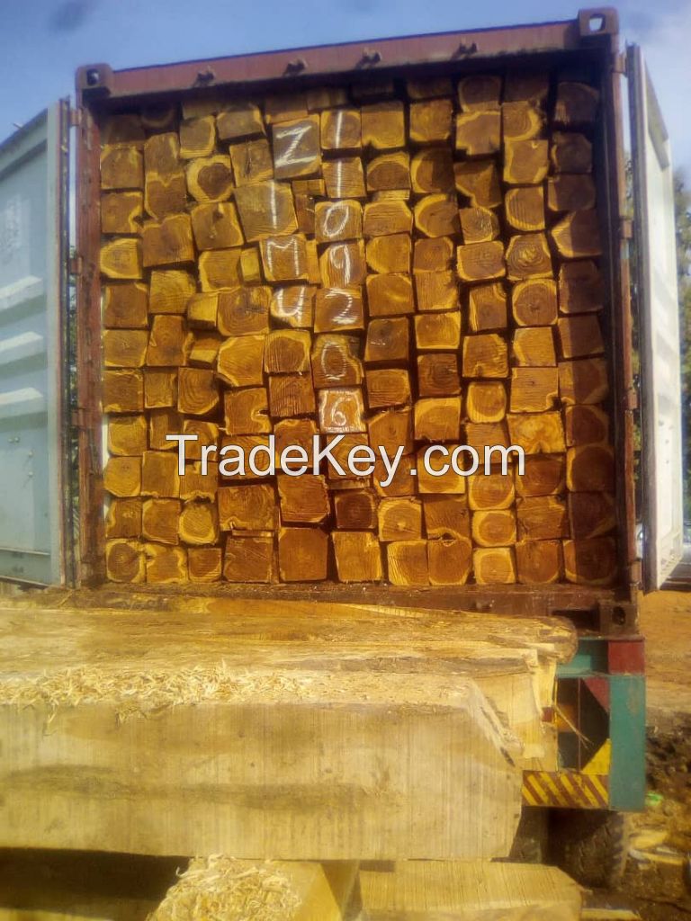 quality Teak Wood and Logs