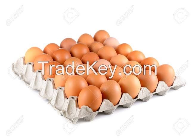 Farm fresh organic barn eggs