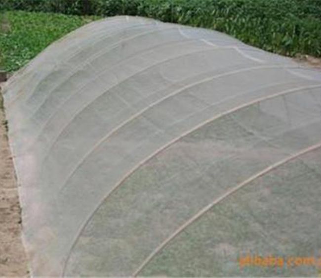 Fiberglass Insect Screen Application Scope