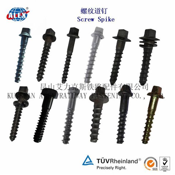 Railroad Screw Spike Track Screw for Rail Sleeper China Supplier