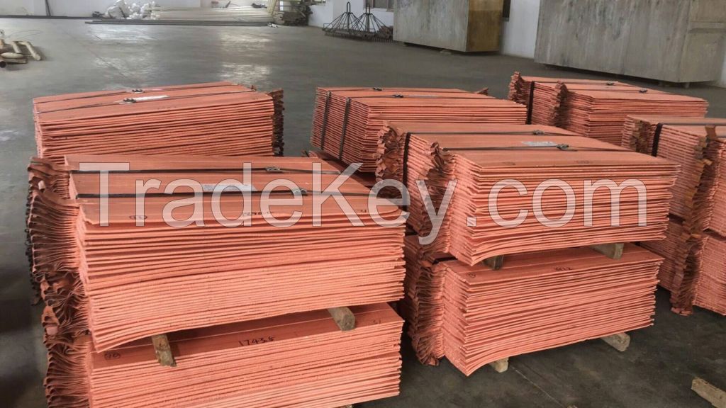 Copper Cathode 