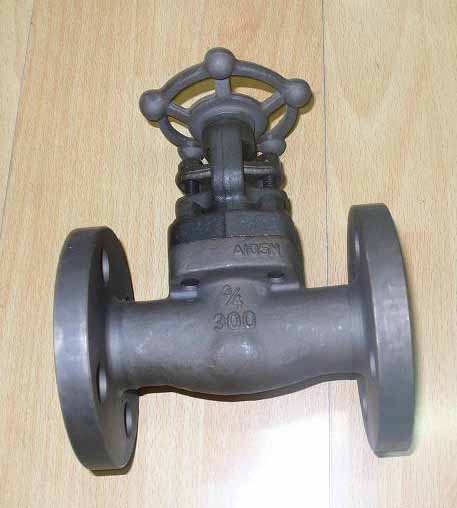 forged-steel globe valve