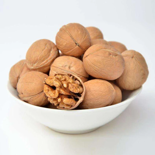 walnut  in shell sourcing from Xinjiang